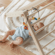 SIPITRI® 2 Segment Climbing Triangle With a Sliding/Climbing Ramp